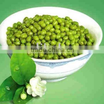 organic mung bean