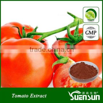 Alibaba gold supplier high quality tomato extract lycopene powder