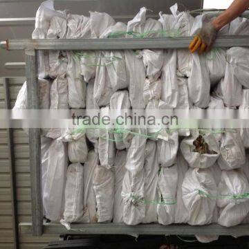 2016 High Quality Frozen Illex Squid 200-300g for Sale photo-3