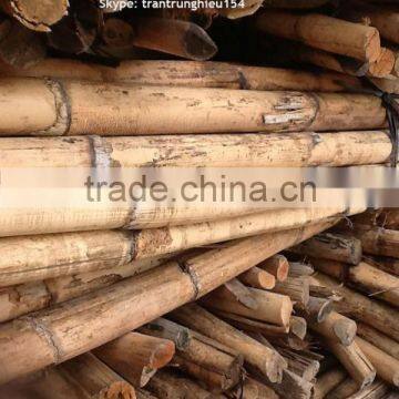 Powder rattan cane 30-40mm