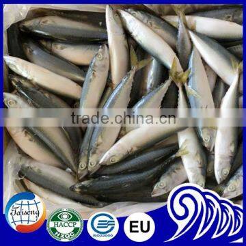 100/200g 200/300g 300/500g 400/600g scomber japonicus