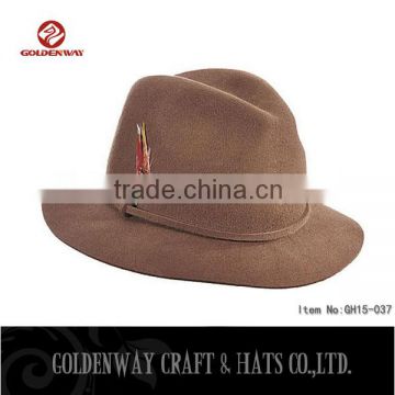 Wholesale 2016 New fashion brim winter hats wide brim fedora hat