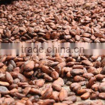 High Grade Cocoa Beans and Cocoa Nibs