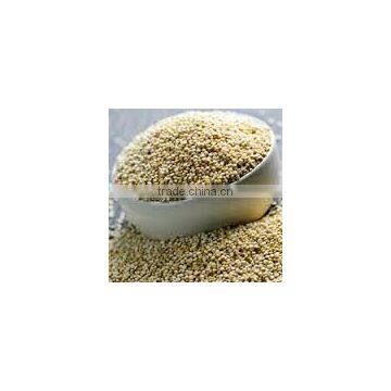 FRESH QUINOA photo-2