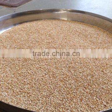 Bulk Sesame Seed Supplier