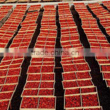 Sundried China Tomato Organic Sun Dried Tomatoes For Sell photo-4