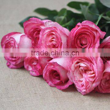 Wholesle Different Types of Pink Rose Flowers Arrangements Made in China photo-2