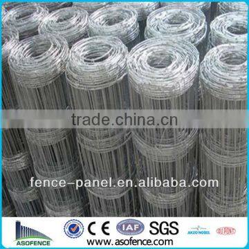 stainless steel animal wire mesh fence,high quality animal wire mesh fence,animal wire mesh fence(ISO9001)