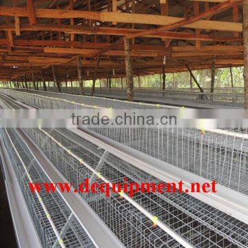 USD 800 Coupon, free sample, no risk, export record for your reference chicken cage