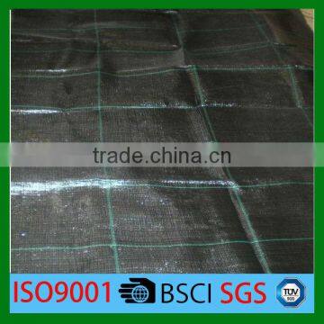 100% virgin new HDPE anti weed net