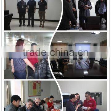 OEM Factory Manufacture Rough Filter Glass Fiber Wu-16*80L-J Suction Filter photo-5