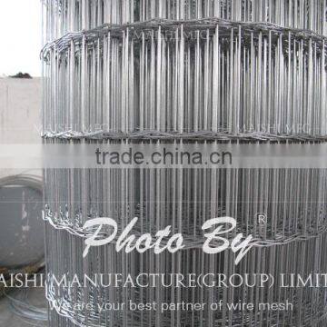 Welded Mesh photo-5