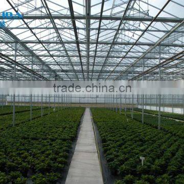 SiChuan BaoliDa Blackout Greenhouse PE Film Greenhouse photo-2