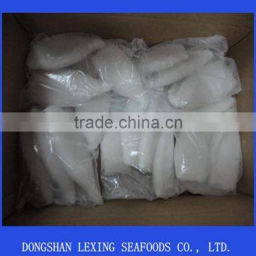 frozen good quality squid tube todarodes pacificus U7 U10