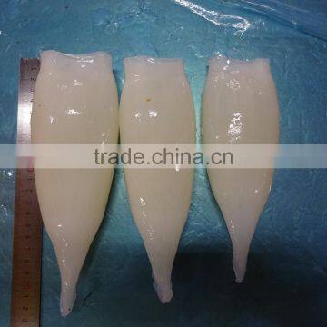 Shishi Zhengyuan Aquatic Frozen Illex Squid Tube photo-2