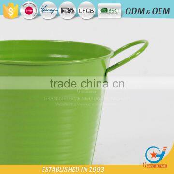 Iron and Zinc Unique Embossing Powder Coated Flowering Plants in Pots Decoration Garden Flower Pot