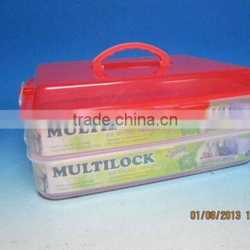 2 Tier Multi Purpose Container