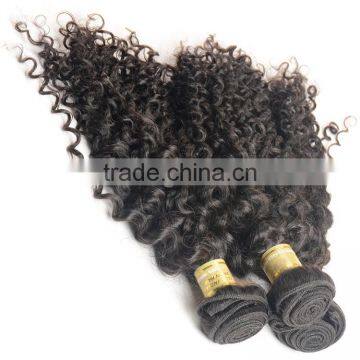 Kinky Curly Virgin Indian Hair Wholesale Unprocessed 8A Indian Human Hair Weaves Extension photo-2