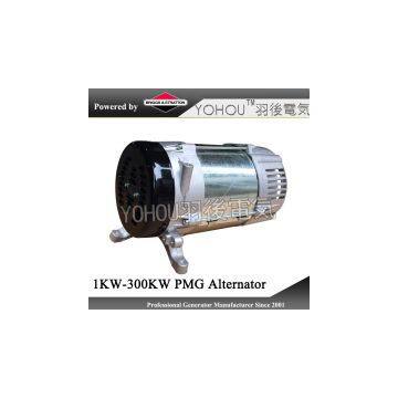 1-300KW Brushless synchronous permanent magnet generator