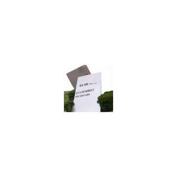 titanium plate