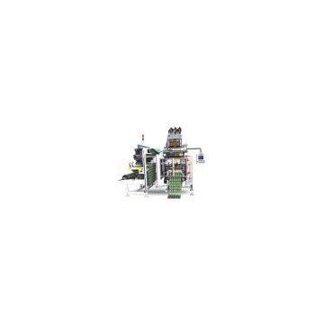 Onion Powder Packing Machine