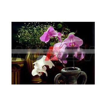 Large Capacity High Quality Hot Sale 3d lenticular led slim snap frame light box Made in China