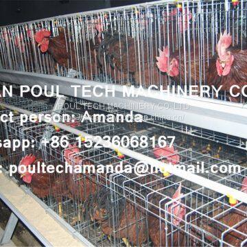 Tanzania Poultry Farm Hot Galvanized Cage & A Type Battery Cage Layer Breeding Chicken Cage/Coop for Poultry Farm