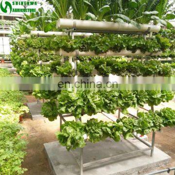 High Quality Hot Selling Commercial Hydroponics With Vertical NFT PVC Pipe