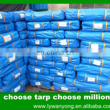 PE Tarpaulin For Boat/Truck/Tent Cover