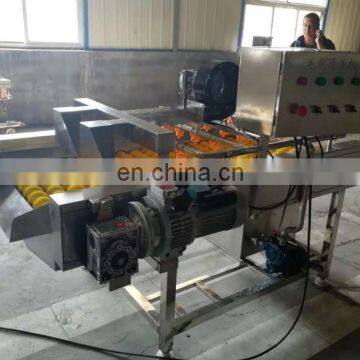 Hot Sale Industrial Fruit Washing and Drying Machine for Sale