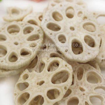 Машина для сушки репчатого корня photo-4