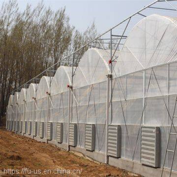 Multi Span PE Film Agricultural Greenhouse photo-5