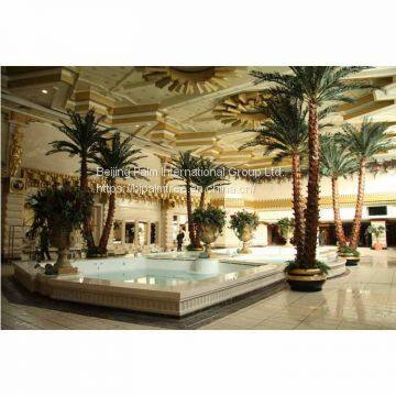 Preserved Date Palm photo-5