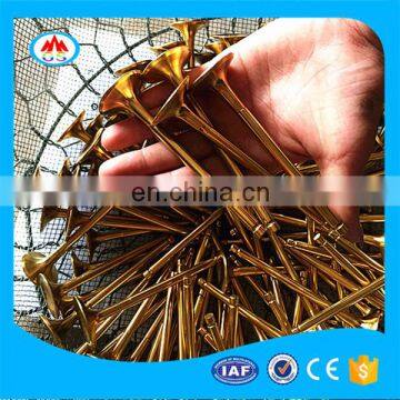 Factory Price Auto Spare Parts Engine Valves for SUZUKI Maruti Celerio Ciaz photo-5