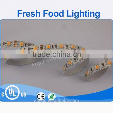 Fine Workmanship and Factory Price 12v Led Strip Ligt photo-6