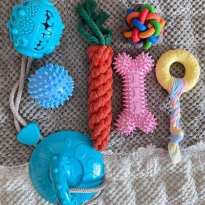 Dog Chew Toy