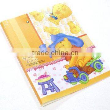 PP&PVC file folder