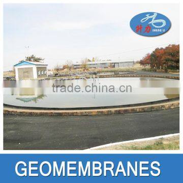 High Quality Fish and Shrimp Farm Hdpe Geomembrane photo-6