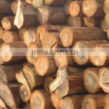 1t 2t 4t 6t Wood for Firewood Industrial Steam Boiler photo-3