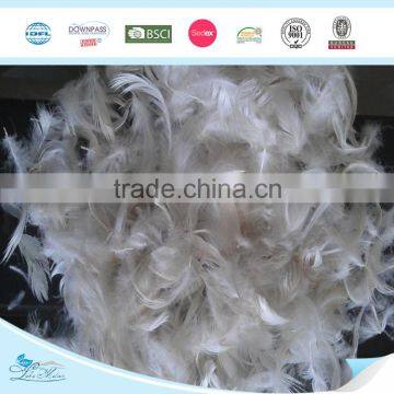 Goose Feather