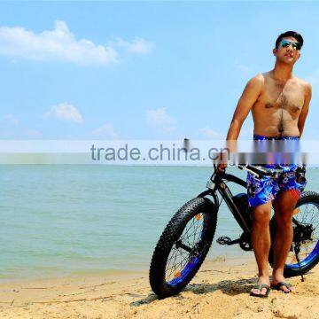 Fat Bike Electric Front Wheel Bike Conversion Kit photo-3