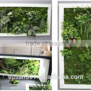 Good Quality Artificial Green Wall Plants for Sale photo-4