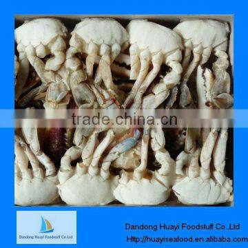 Frozen half cut crab