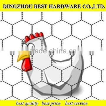 Insulation Chicken Wire Mesh photo-3
