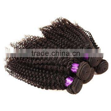 Cheap Factory Wholesale Price Premium Quality 100% Virgin Indian Afro Kinky Curly Weaving Hair