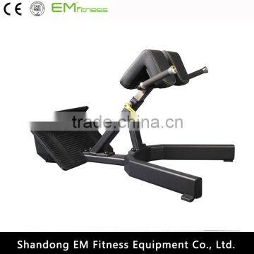 indoor gym equipment back extension gym machine