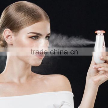 Professional Factory Supply Exquisite Handy Mist Sprayer Moisture Ionic Facial Steamer