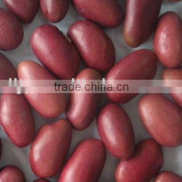 Red kidney Beans