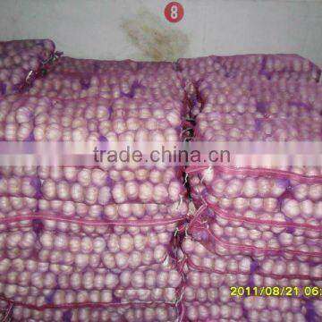 Plastic PP Leno Mesh Bag For Germany/UK Market