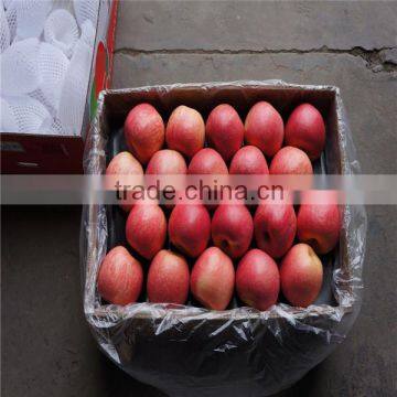 Fresh Apple